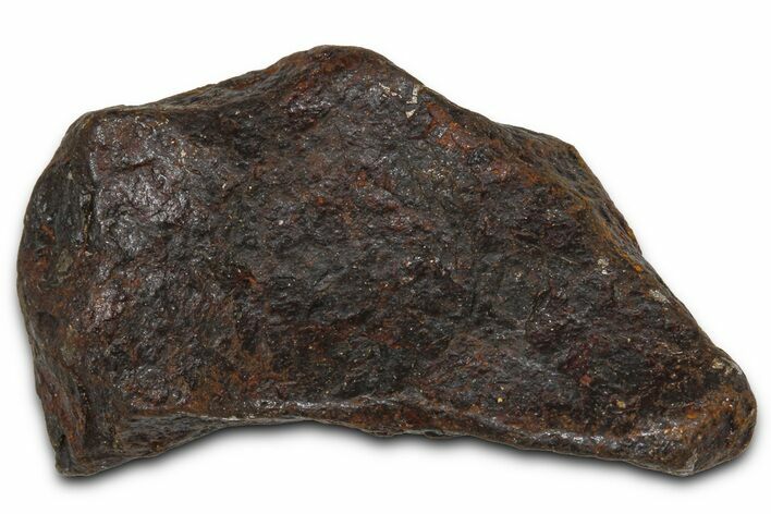 Canyon Diablo Iron Meteorite ( g) - Arizona #381995